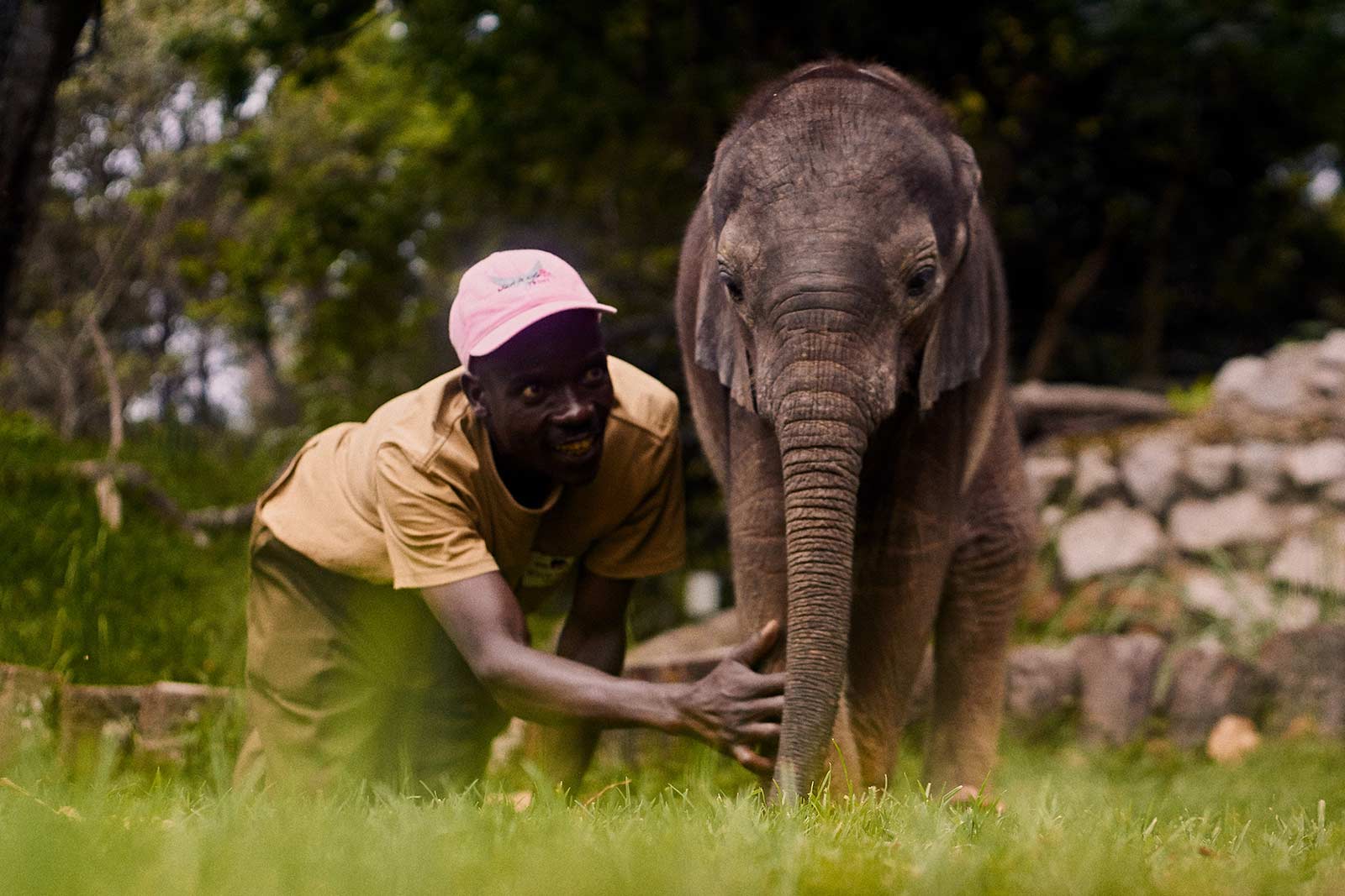 Ranger with baby elephant