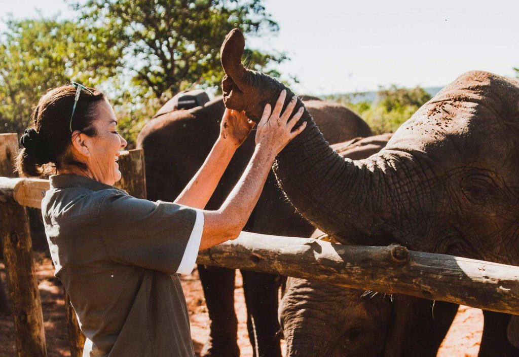 Roxy Danckwerts holding an elephants trunk