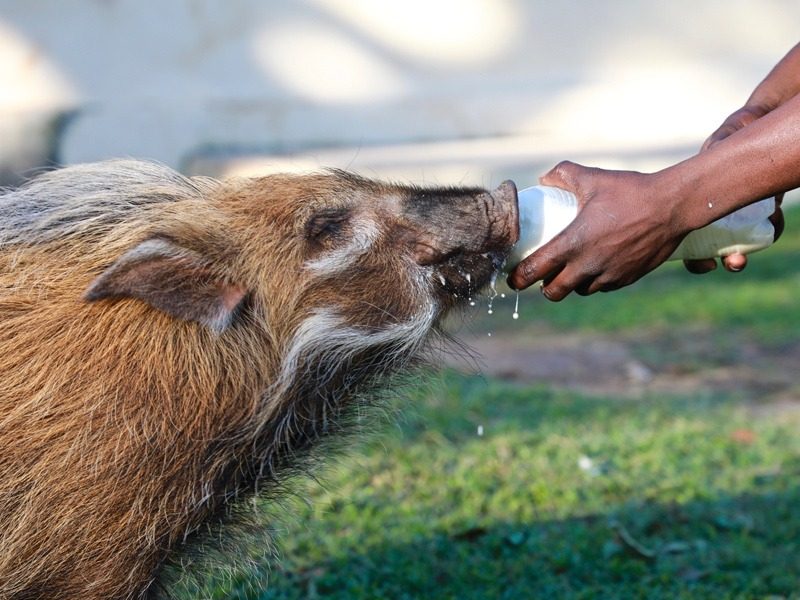 In-return-for-your-kindness